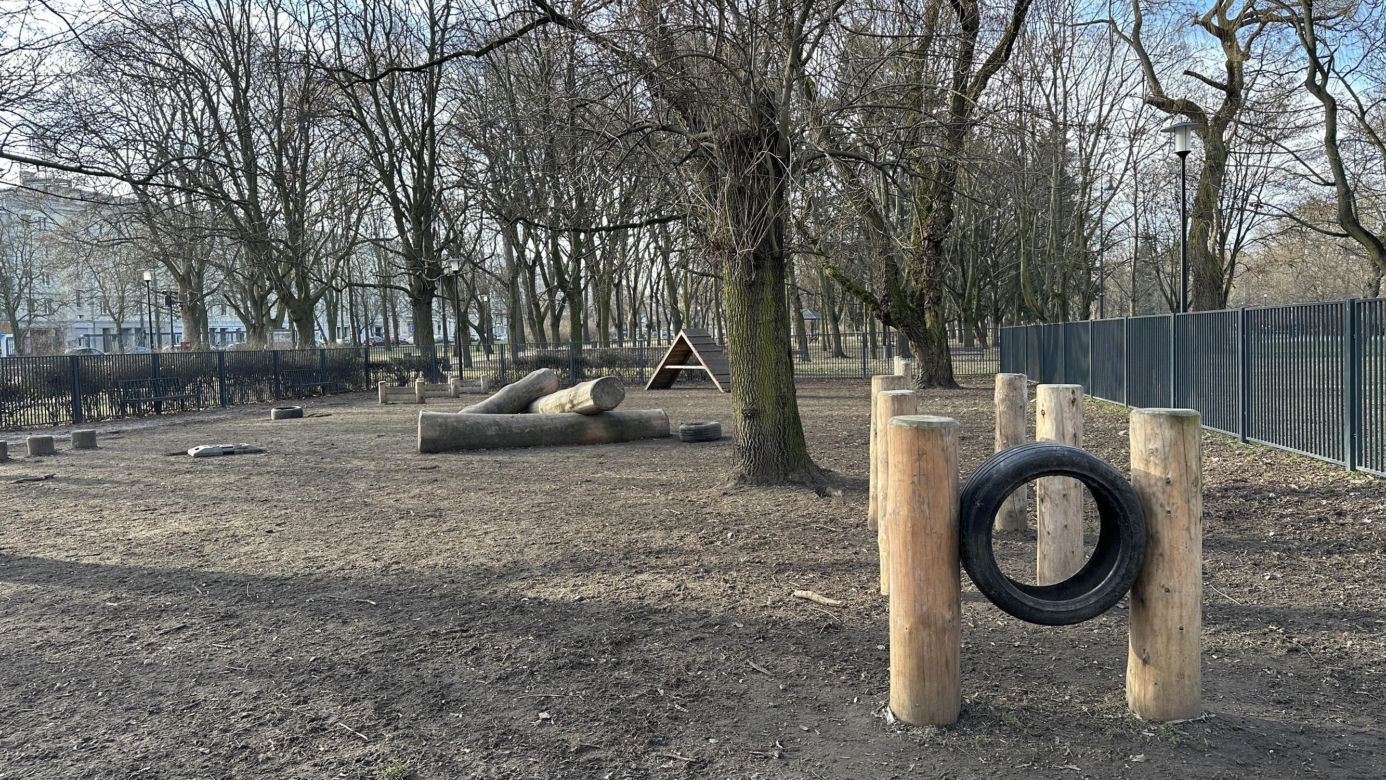 Psi park w Parku Staromiejskim w Łodzi