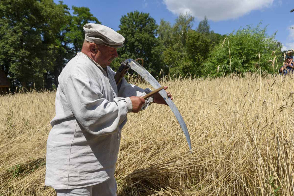 Kosy pójdą w ruch! W lubelskim skansenie w niedzielę będą żniwa