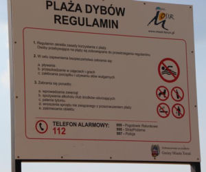 Toruń ma nową plażę. Została oficjalnie otwarta podczas Festiwalu Wisły