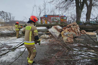 Wichura zniszczyła zabytkową kapliczkę przy sanktuarium