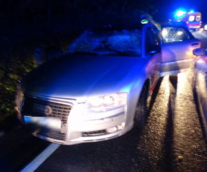 Okocim: Groźne zderzenie osobówki z jeleniem. Finał mógł być zupełnie inny...