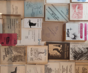 Wystawa w Miejskiej Bibliotece Publicznej w Lesznie