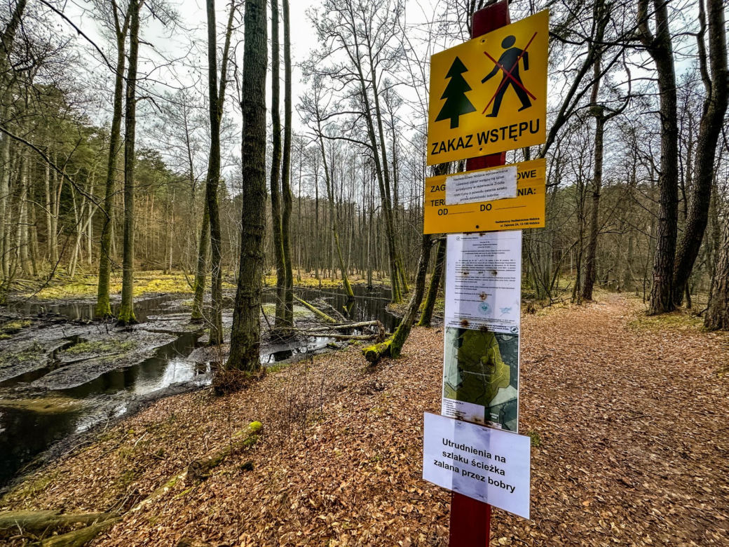 Rzeka Łyna