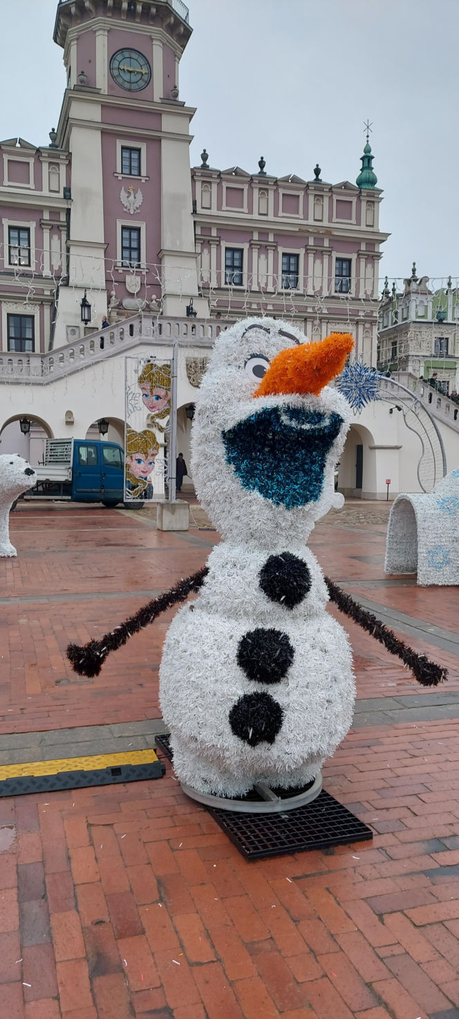 Bajkowa instalacja przed zamojski ratuszem
