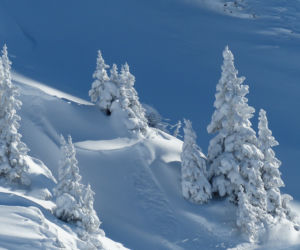 Śnieg
