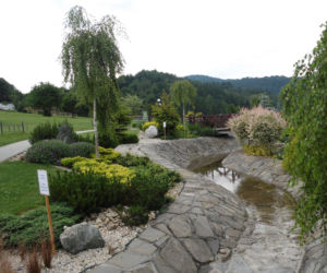 To jedno z najpiękniejszych małopolskich miast. Kiedyś było państwem, dzisiaj jest sławnym uzdrowiskiem