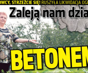 Zaleją nam działki BETONEM!