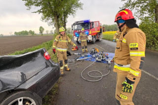 Malborka samochód osobowy z ogromną siłą uderzył w drzewo. Za kierownicą siedziała 19-latka