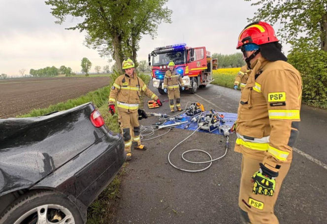 Malborka samochód osobowy z ogromną siłą uderzył w drzewo. Za kierownicą siedziała 19-latka