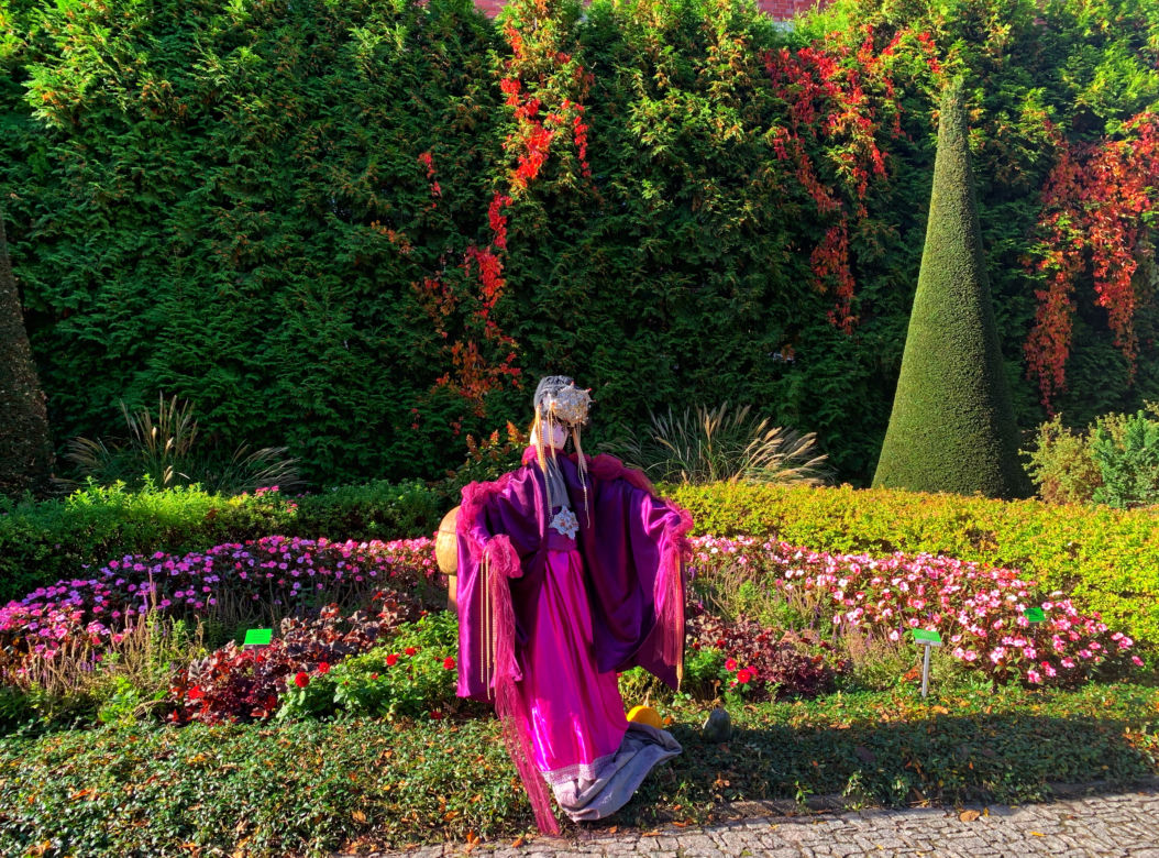Jesień w ogrodzie botanicznym we Wrocławiu