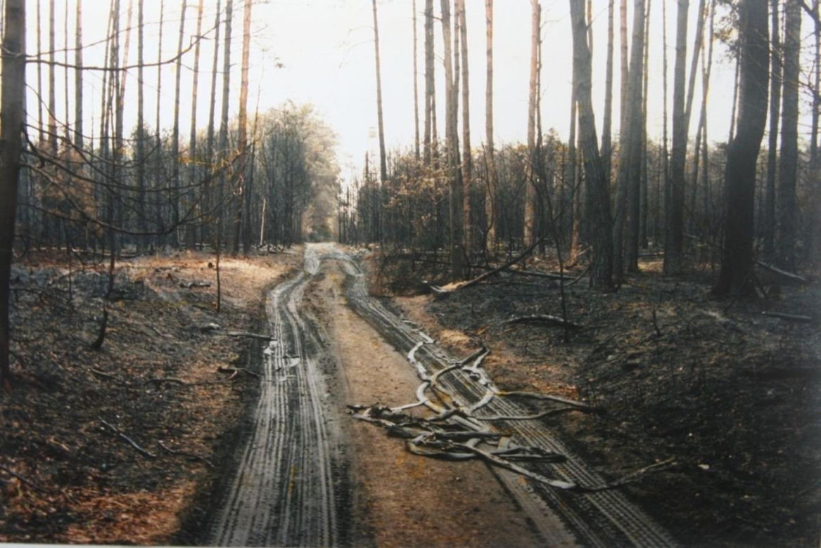 Pożar lasu w Kuźni Raciborskiej w 1992 roku