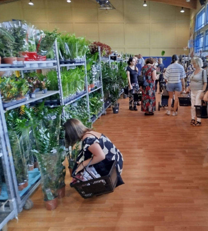 Festiwal Roślin 2025 w Siedlcach