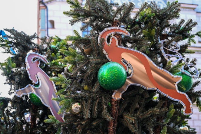 Trwa montaż choinki i świątecznych iluminacji