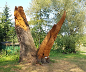 Park Kępa Potocka z nowymi rzeźbami