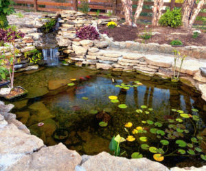 Jak przygotować oczko wodne do sezonu?