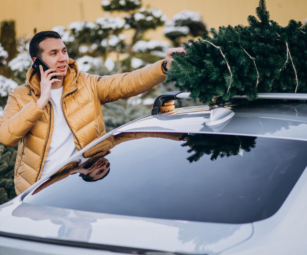 Jak bezpiecznie przewieźć choinkę samochodem?