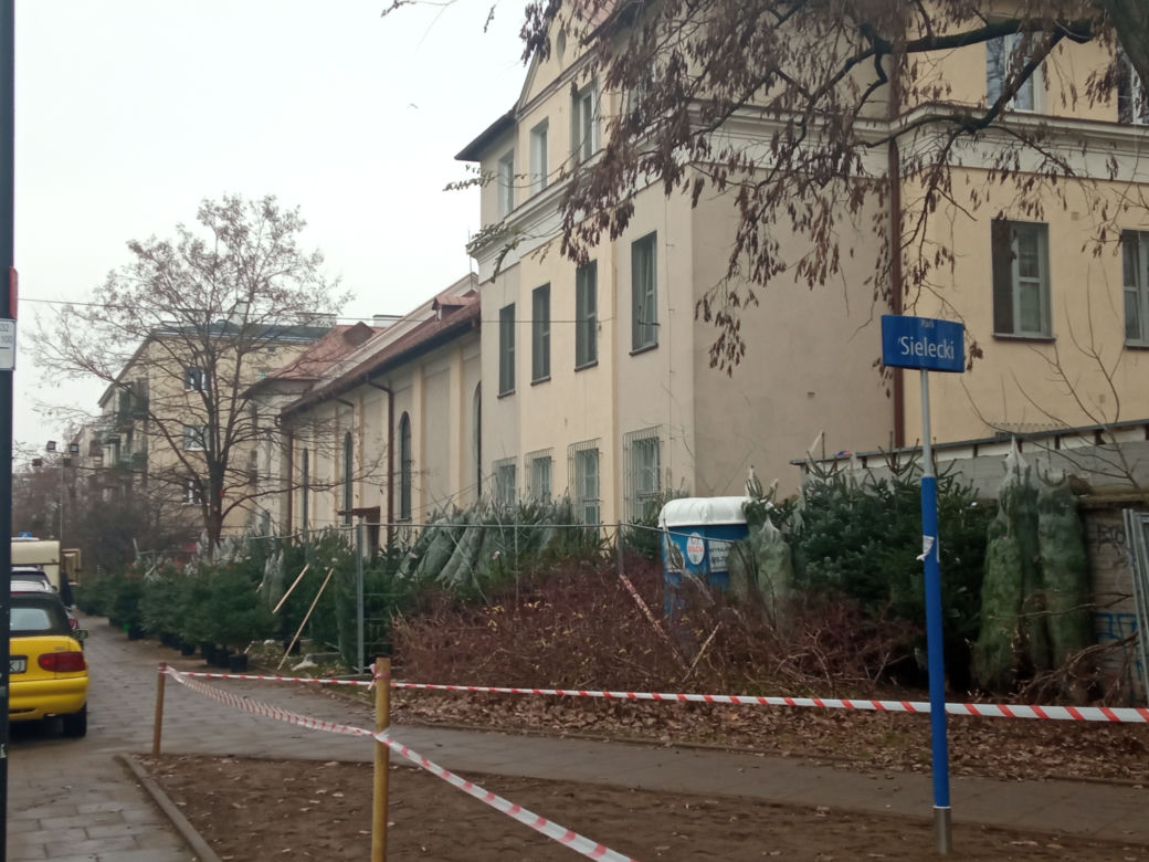 Konkurencja zniszczyła nasze choinki