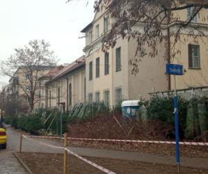 Konkurencja zniszczyła nasze choinki