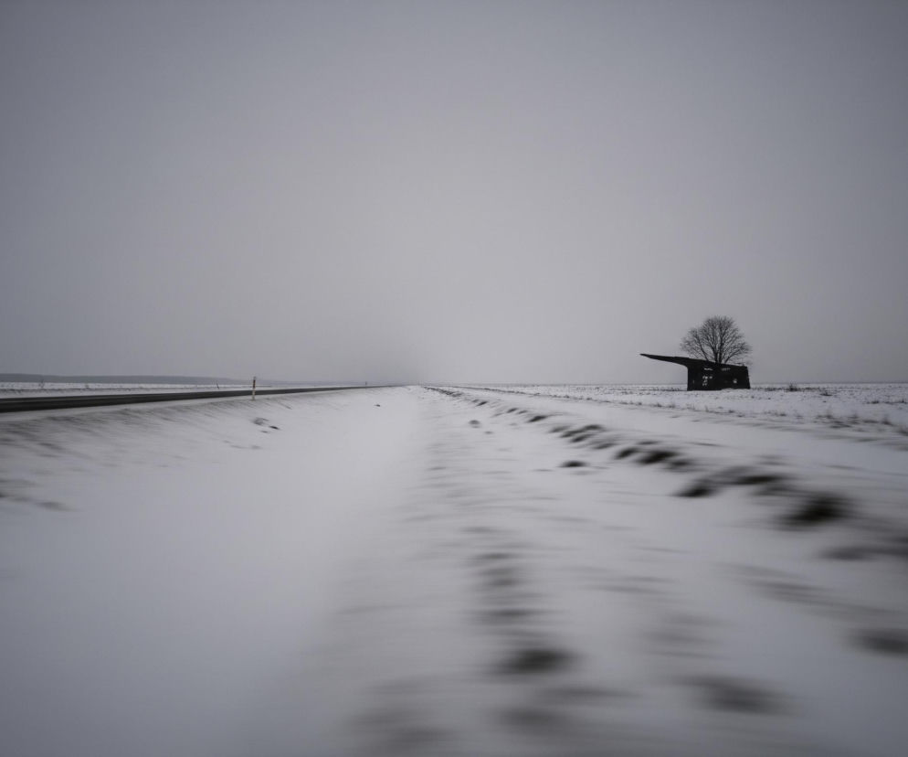 Pusta, zaśnieżona równina rozciąga się pod szarym, zachmurzonym niebem. Po lewej stronie, w oddali, biegnie asfaltowa droga, ciemna i wąska, z niewyraźną linią horyzontu. W prawej części kadru, na zaśnieżonym polu, stoi samotne, bezlistne drzewo o ciemnych gałęziach, tuż obok niewyraźnej, ciemnej konstrukcji, przypominającej budynek. Na pierwszym planie widoczne są rozmyte, poziome smugi na śniegu, sugerujące ruch.