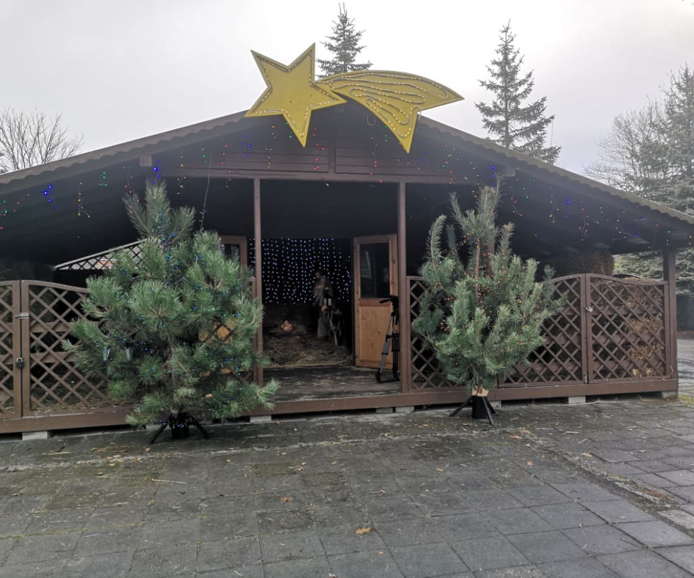 Żywa Szopka Bożonarodzeniowa w Śląskim Zoo