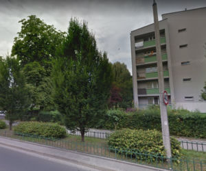 W tych miejscach w Krakowie na pewno spotkamy szczura!