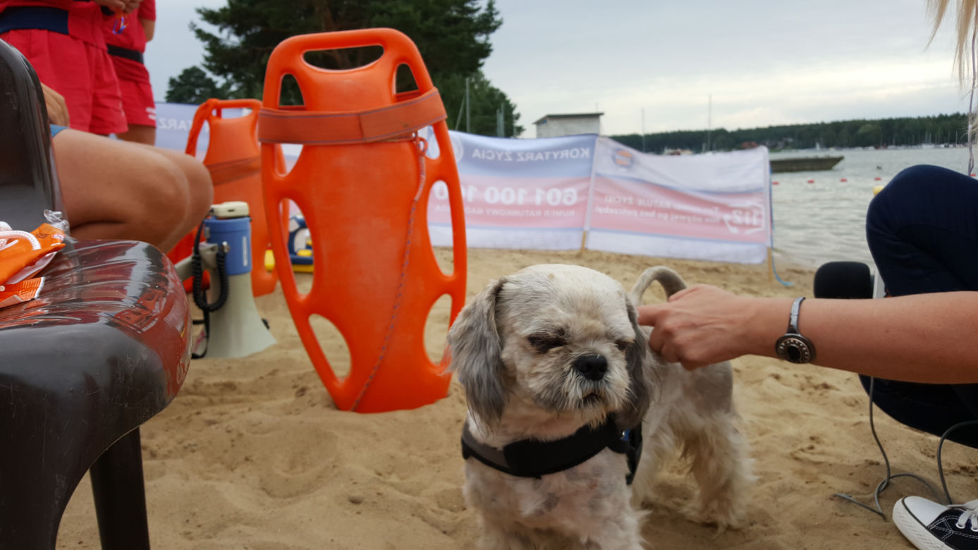 Bydgoska ekipa Eska Summer City na plaży w Pieczyskach