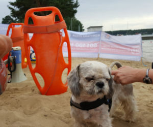 Bydgoska ekipa Eska Summer City na plaży w Pieczyskach