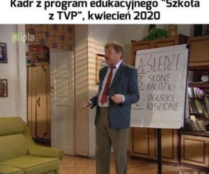 Szkoła TVP: Memy. Liczby parzyste, średnica i śmiech przez łzy