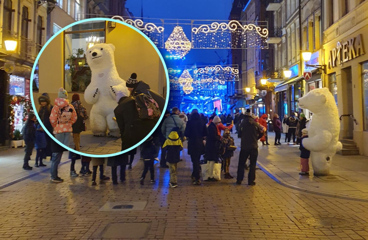 Biały Miś na toruńskiej starówce