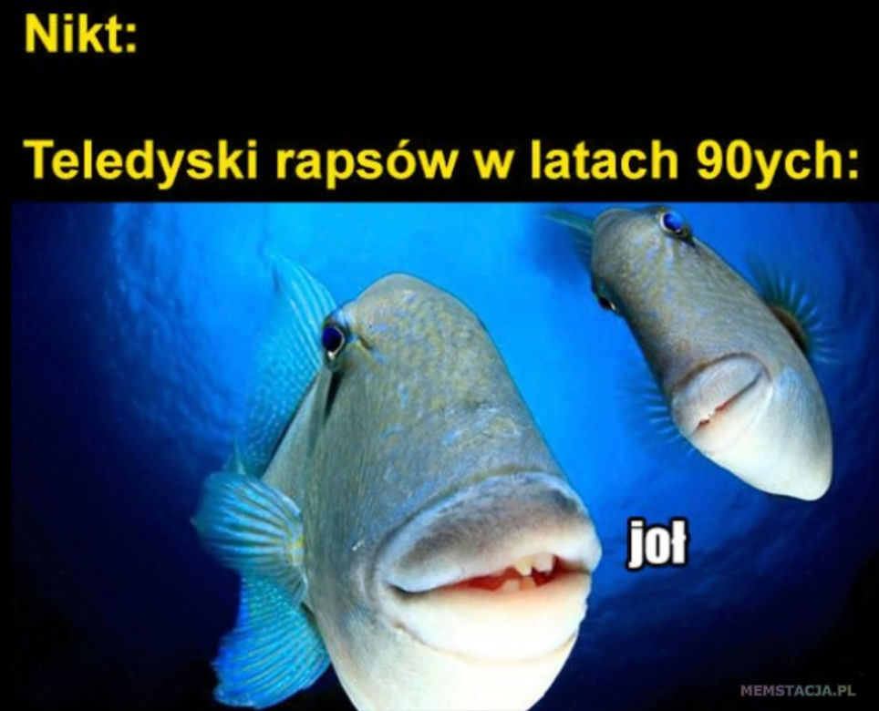 Te memy najlepiej oddają dzieciństwo w latach 90. Tego się nie da zapomnieć! 