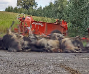 Krowy konały w męczarniach. Pożar w Bartnikach