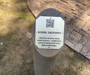 Orbisfera w Starym Sączu jest już gotowa