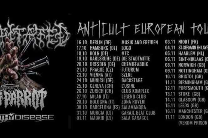 Decapitated - koncerty