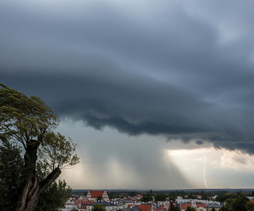 Na pierwszym planie, po lewej stronie, rozłożyste drzewo z zielonymi liśćmi, lekko pochylone i rozwiane przez wiatr. W tle rozciąga się miejski krajobraz z licznymi budynkami, głównie domami z czerwonymi i ciemnymi dachami, w tym kilkoma większymi, o jaśniejszych ścianach i wyraźnych, pomarańczowych dachach. Ponad miastem dominują bardzo ciemne, burzowe chmury, z których po prawej stronie wyłania się jasny, zygzakowaty piorun, oświetlający fragment nieba i zlewający się z pasmami deszczu widocznymi w oddali.