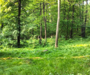Tysiące osób szukało 12-letniej Eli. Tragiczny finał poszukiwań