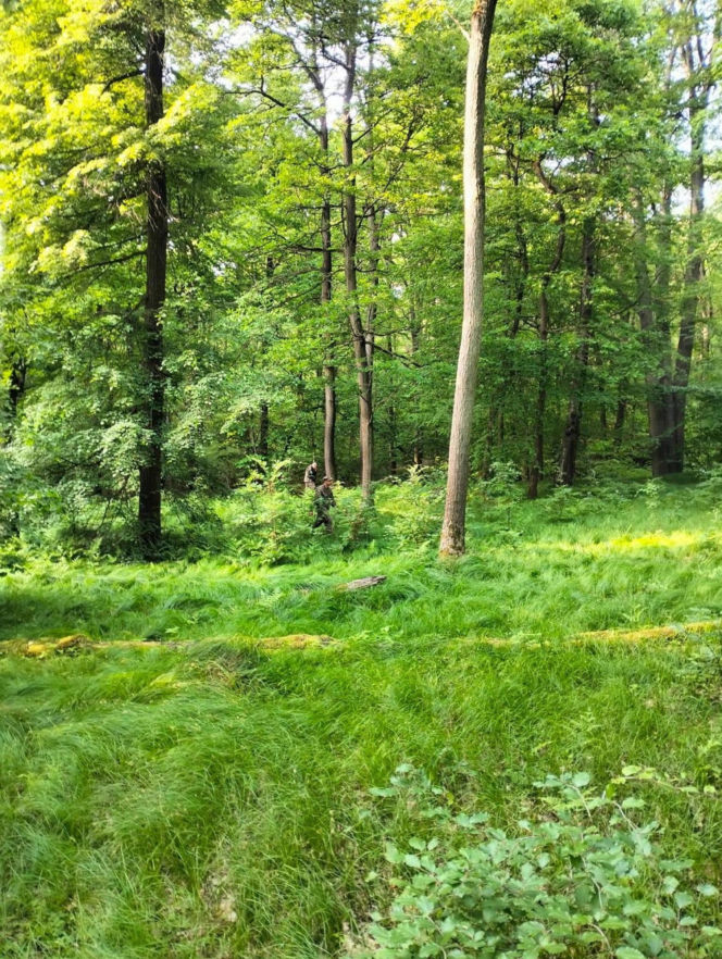 Tysiące osób szukało 12-letniej Eli. Tragiczny finał poszukiwań