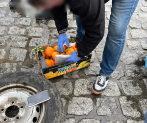 Marihuana w pomarańczach na obwodnicy Leszna