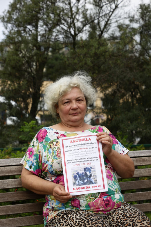 Gdzie jest moja Mirabelka? "Przejechałam 2 tys. km, żeby znaleźć swojego ukochanego psa"