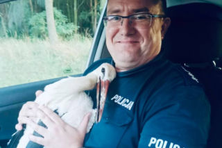 Policjant uratował kolejne zwierzę! Mówią na niego doktor Dolitte