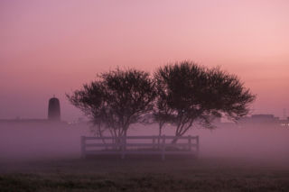 Różowa mgła nad Europą! Meteorolodzy mają wyjaśnienie?