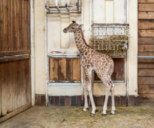 Orientarium ZOO Łódź
