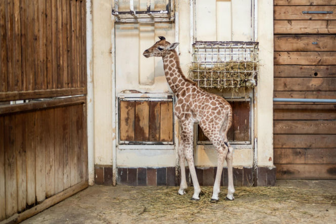 Orientarium ZOO Łódź