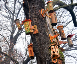 W Parku Kazimierza Wielkiego pojawiły się nowe domki dla owadów