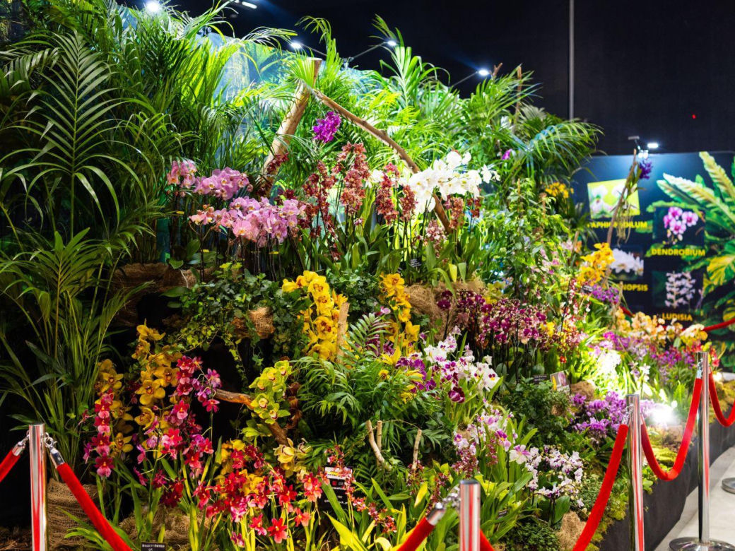 World Flower Show