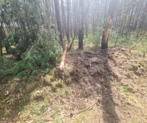 Wypadek w Radawie. Nie żyje 20-latek [GALERIA]	