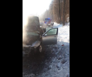 Okolice Nowego Sącza: AUTO PŁONĘŁO na drodze, a DZIECI siedziały w środku! 