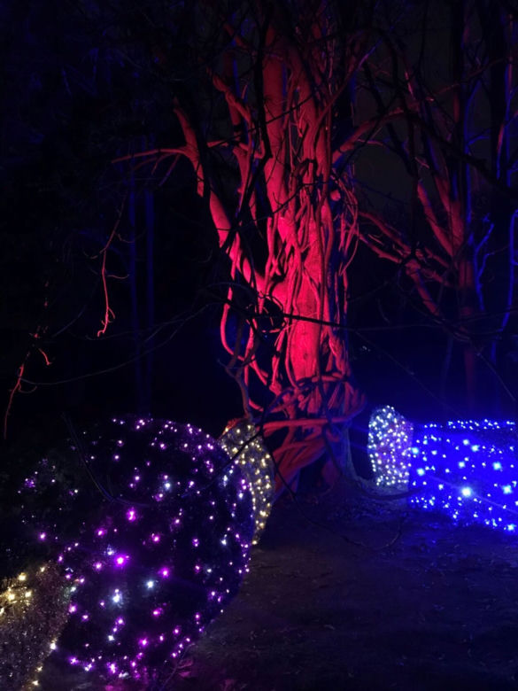 Luminaa Park 
