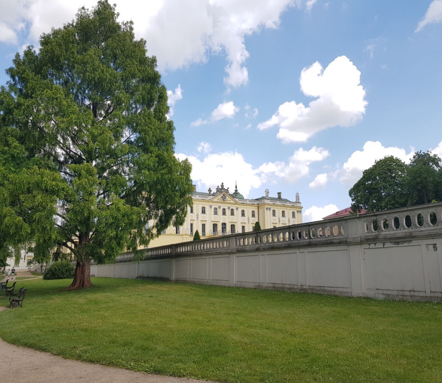 Lato w Białymstoku. Obejrzyj galerię najważniejszych miejskich atrakcji