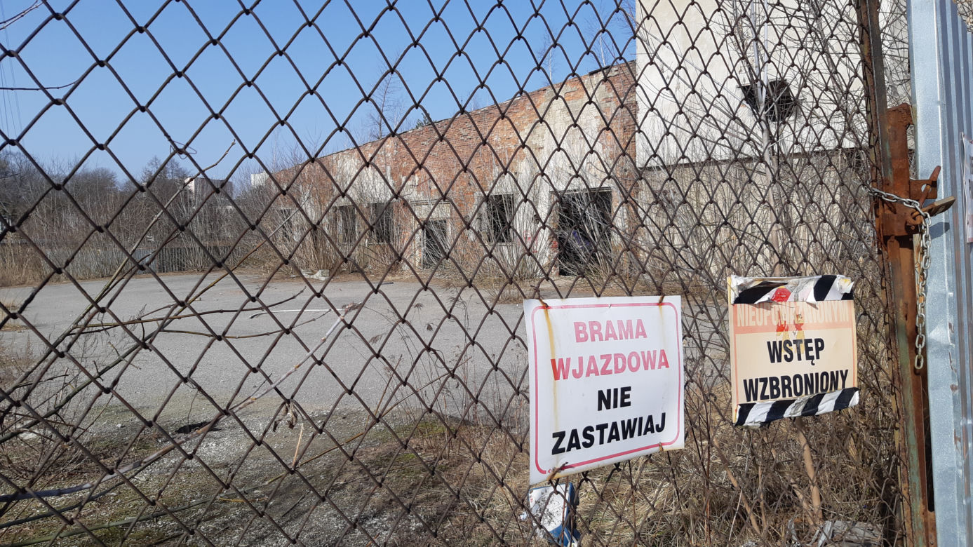 Koziołek już na wolności!