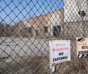 Koziołek już na wolności!